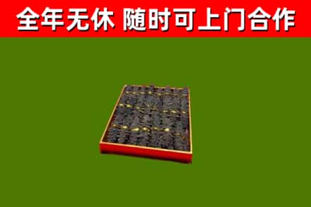 明溪回收海参
